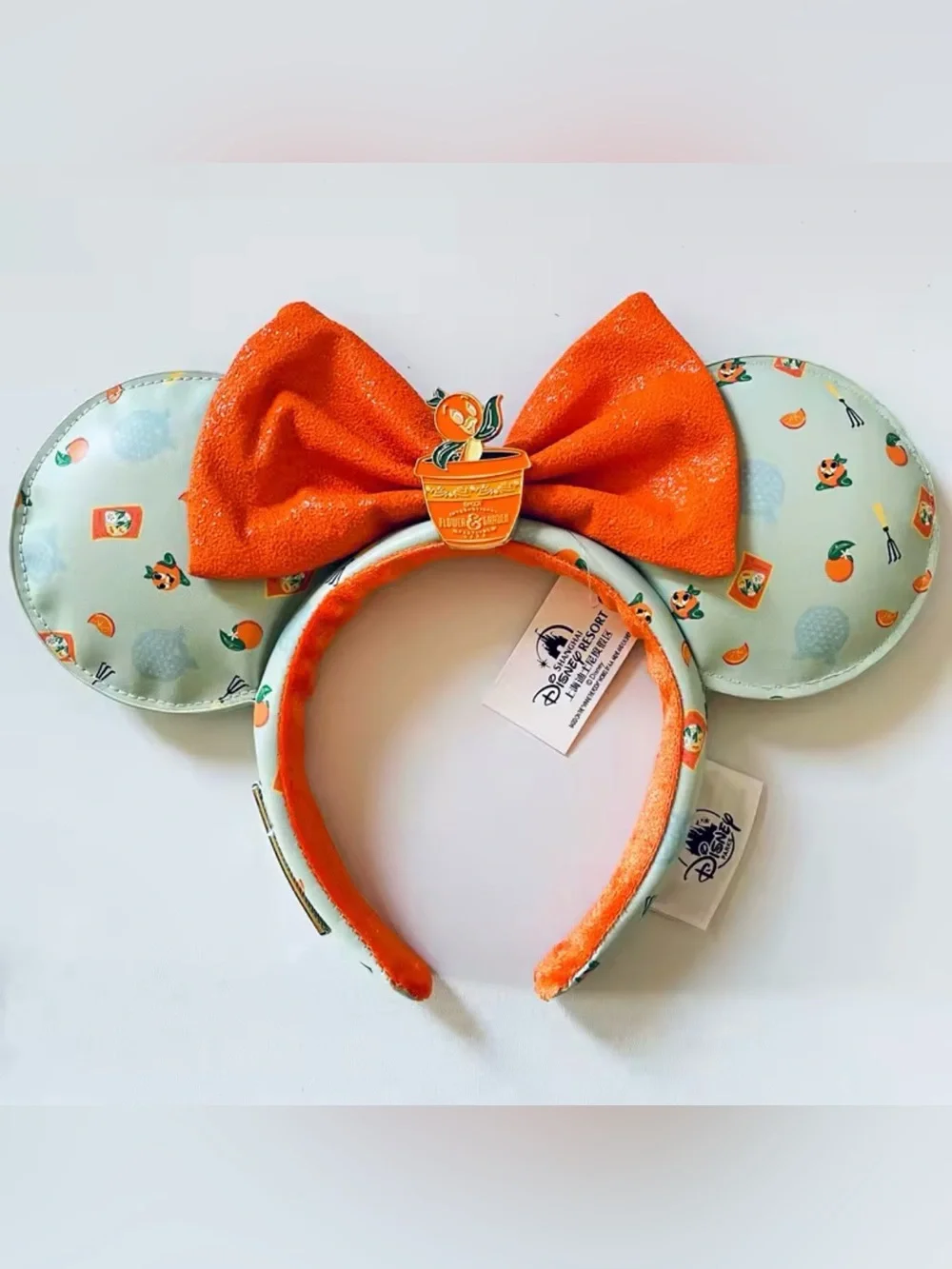 Orange Bird Mickey Ears